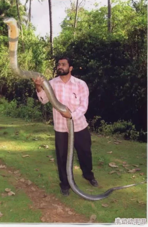 蛇王的尾巴高ah,气吞山河展雄风 蛇王的尾巴高ah,气吞山河展雄风