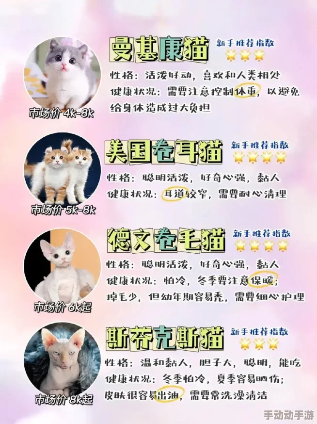 猫咪www最新地域网名怎么取，用户评价：非常有创意，帮我找到了很多好名字！