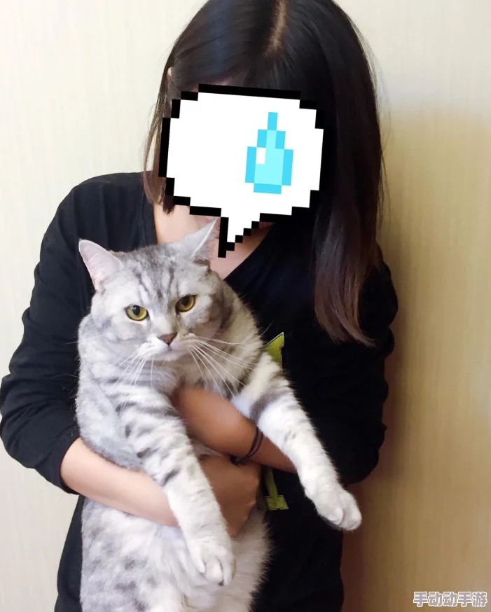 猫咪www最新地域网名怎么取，用户评价：非常有创意，帮我找到了很多好名字！