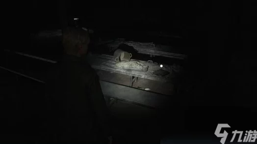 《寂静岭2:重制版》全面探索——托卢卡监狱复杂谜题高效通关指南与技巧分享 《寂静岭2:重制版》全面探索——托卢卡监狱复杂谜题高效通关指南与技巧分享