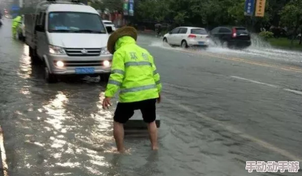 雷电将军入夜狂飙游戏特色：畅享刺激无限、挑战极限的全新冒险体验