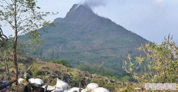 缅北在线观看www网站入口，津津乐道，引人入胜