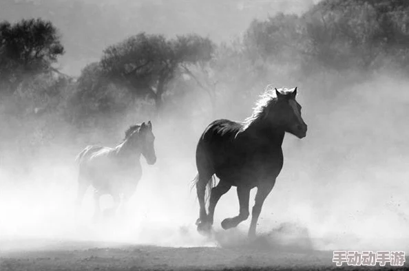 随着马儿的奔跑项弄，理解其背后的文化与情感表达的重要性