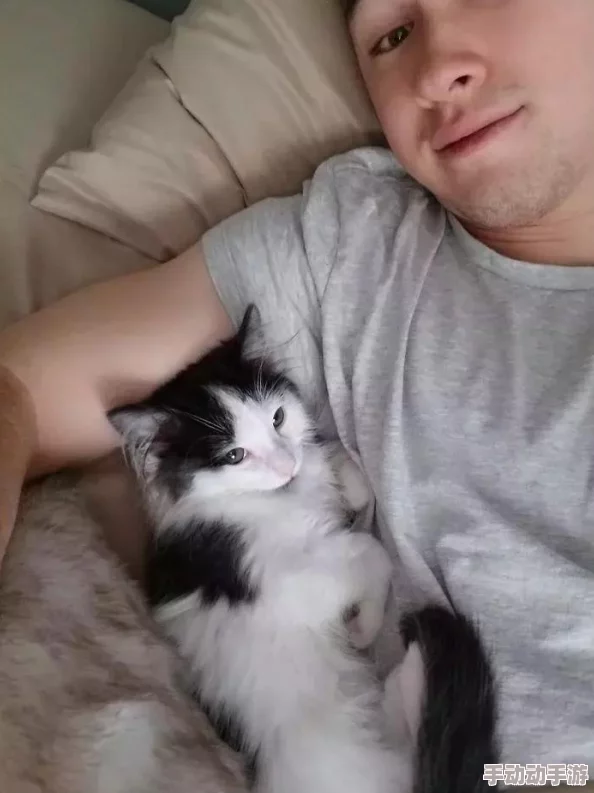 探寻绝对求生最佳陪玩伙伴：哪些平台与玩家真正值得信赖？