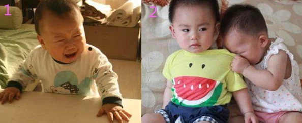 探寻绝对求生最佳陪玩伙伴：哪些平台与玩家真正值得信赖？