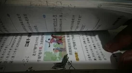 莞式一阳吞三阴是什么意思啊，深入解析其背后的文化与含义