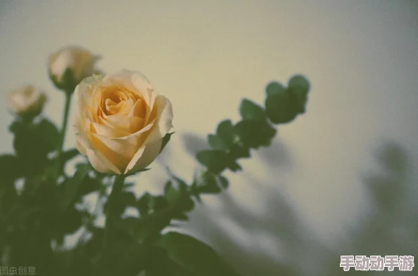 《江湖悠悠》流风回雪武学全貌探秘：实战效能与搭配策略，独家攻略来袭！