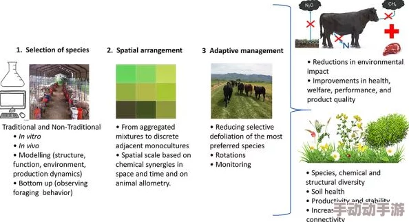 人畜禽company limited：用户评价揭示服务质量与产品可靠性，值得信赖的选择！