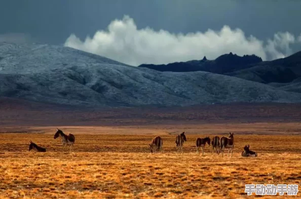 黑土流眼泪翻白眼流口水，感受自然之美与生命的奇迹，带你领略不一样的风景与情感！