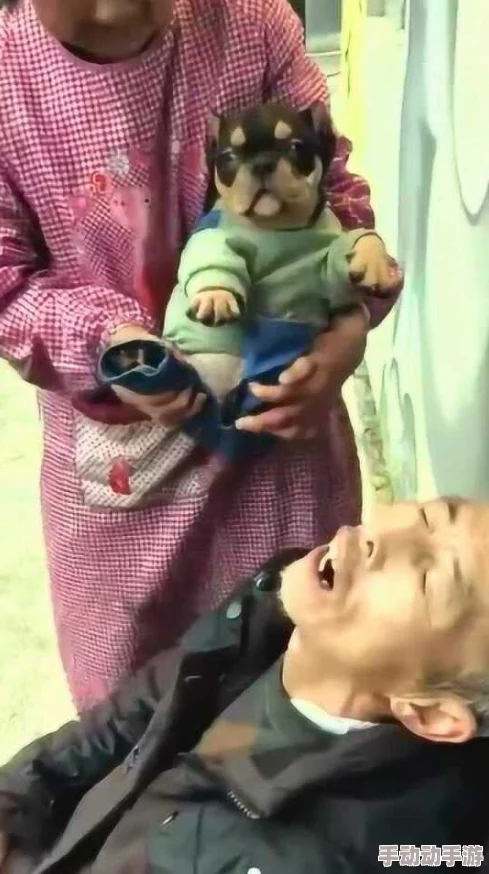 老头玩老头ⅩXXⅩ视频：网友热议，画面搞笑又真实，令人捧腹大笑！