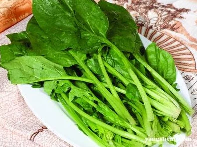 含糖1v1奶菜:口感独特,甜而不腻,让人一试成主顾的美味体验! 含糖1v1奶菜:口感独特,甜而不腻,让人一试成主顾的美味体验!