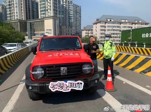 人与各种动ZZZ0O0OⅩXX之间的深刻联系与互动探索