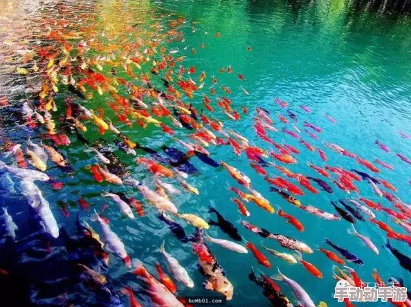 色天堂应用:如鱼得水,畅享多彩生活的无限可能 色天堂应用:如鱼得水,畅享多彩生活的无限可能