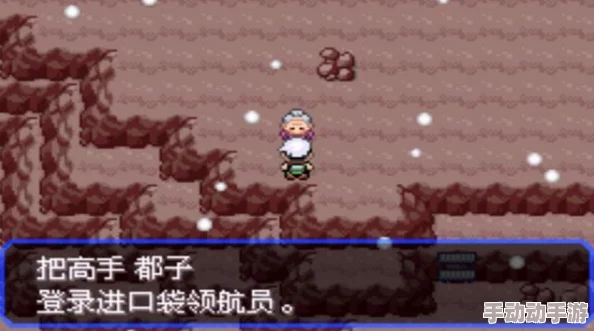 《口袋高手》满级VIP价格揭秘：最新VIP等级费用全览，含特殊福利解析