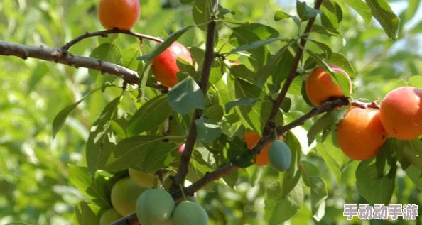 拿我的妹妹做实验2桃子移植,勇敢追梦,科学与爱心并行,让我们一起创造美好的未来! 拿我的妹妹做实验2桃子移植,勇敢追梦,科学与爱心并行,让我们一起创造美好的未来!