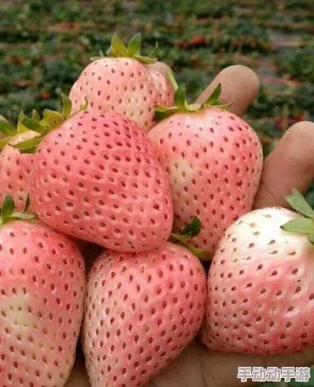 拿我的妹妹做实验2桃子移植,勇敢追梦,科学与爱心并行,让我们一起创造美好的未来! 拿我的妹妹做实验2桃子移植,勇敢追梦,科学与爱心并行,让我们一起创造美好的未来!