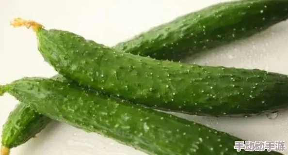 八重神子拿黄瓜奖励照片，因其独特的创意引发网友热议，成为社交媒体新宠