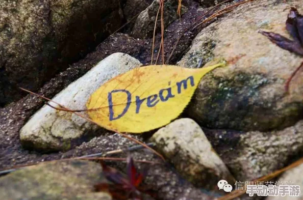 14gd18_XXXXXL56：在追求梦想的道路上，勇敢前行，每一步都值得赞赏与珍惜！