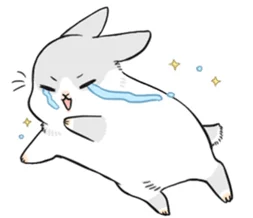 班主任的兔兔那么可爱,宛如百花争艳春风吹 班主任的兔兔那么可爱,宛如百花争艳春风吹