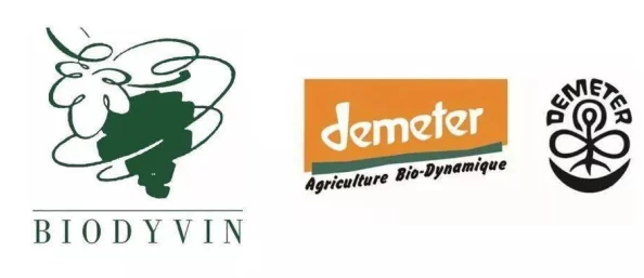 Janpense Visa Black：绝对物有所值，让您的生活更加精彩和便利