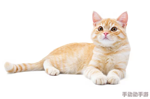 《地下城与勇士》挑战模式简易攻略：探索最适合新手的轻松通关地图推荐