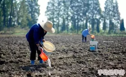 儿耕妈荒废的田,因干旱导致农作物减产,农民呼吁政府提供更多支持与救助措施 儿耕妈荒废的田,因干旱导致农作物减产,农民呼吁政府提供更多支持与救助措施