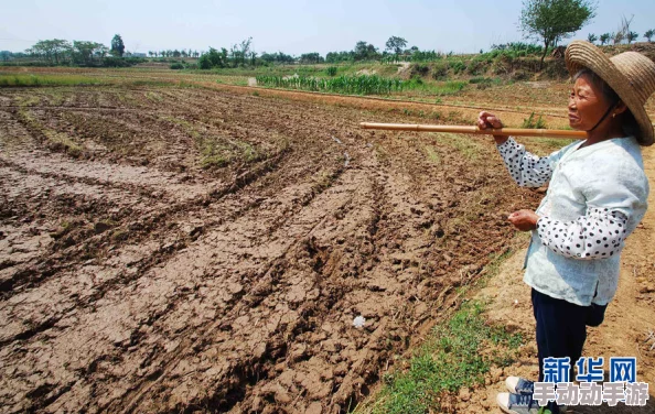 儿耕妈荒废的田,因干旱导致农作物减产,农民呼吁政府提供更多支持与救助措施 儿耕妈荒废的田,因干旱导致农作物减产,农民呼吁政府提供更多支持与救助措施