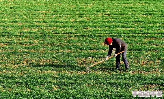 儿耕妈荒废的田,因干旱导致农作物减产,农民呼吁政府提供更多支持与救助措施 儿耕妈荒废的田,因干旱导致农作物减产,农民呼吁政府提供更多支持与救助措施