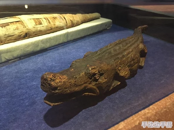 《保卫萝卜4》法老遗迹再临：第77关智慧布局与策略突破全解析攻略