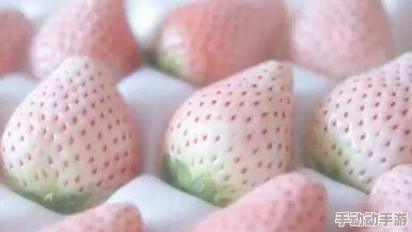 草莓香蕉视频：全球水果市场迎来新趋势，草莓和香蕉的销量激增引发关注