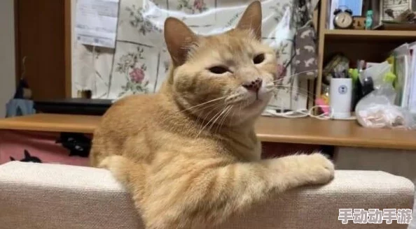 猫メイド游戏安装：最新版本发布，新增多种互动玩法与角色，玩家体验更为丰富！