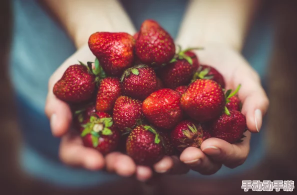 草莓视频18岁：用户评价称其内容丰富，界面友好，是年轻人追剧的首选平台！