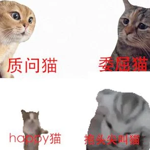 色猫视频:用户评价热烈,精彩内容引发观众强烈共鸣与喜爱! 色猫视频:用户评价热烈,精彩内容引发观众强烈共鸣与喜爱!