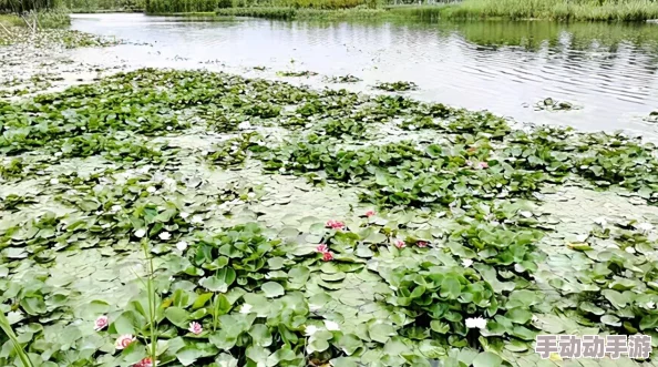 地下城与勇士》：细探普通装扮魅力，哪一款才是你的基础风尚之选？