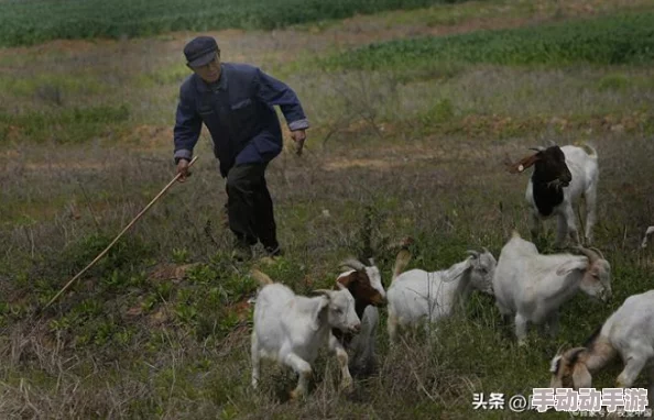 燕姐放羊老人户外W358：2024年新兴旅游趋势与自然体验的完美结合