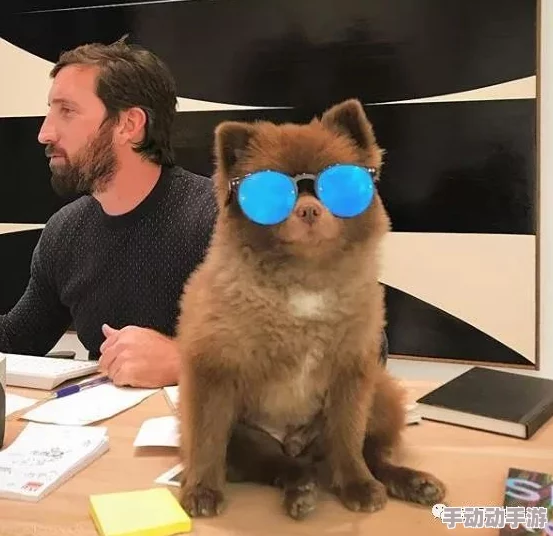 人or猪or狗，相貌平庸，实力非凡