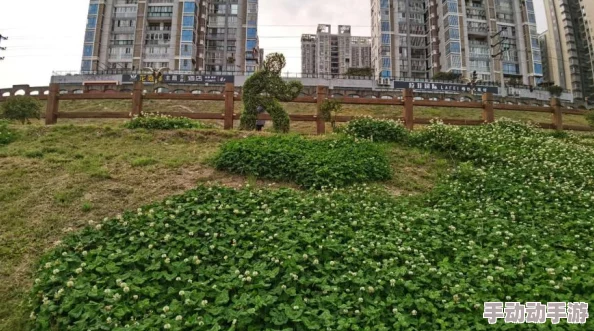 S9金铲铲之战策略革新：堡垒守护下的极速滑板鞋阵容搭配指南与实战技巧