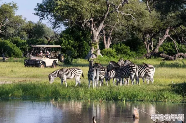 三角洲任务：全面探索鳄鱼出没的最新刷新地点与策略指南