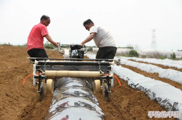 《星露谷物语》进阶攻略：十级耕种技能下的最优作物选择与布局策略