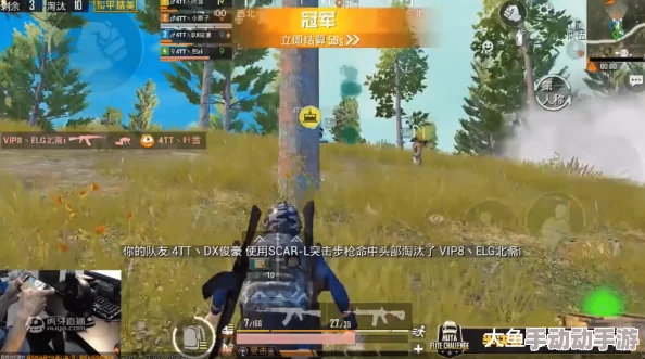 《弹弹岛2》精英组队挑战：狂锯木克林全面征服策略与技巧详解