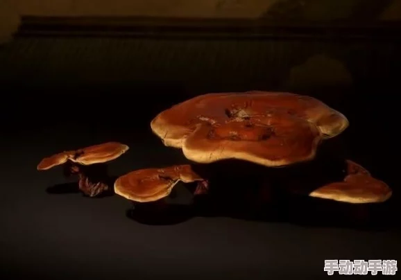 探索黑神话中的九叶灵芝精:揭秘其独特功效与真实体验分享,自然灵韵的非凡之旅 探索黑神话中的九叶灵芝精:揭秘其独特功效与真实体验分享,自然灵韵的非凡之旅