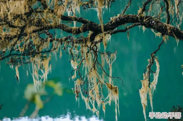 密室逃脱21:遗落梦境终极挑战——解锁第十重幻境迷局,智破梦魇之谜 密室逃脱21:遗落梦境终极挑战——解锁第十重幻境迷局,智破梦魇之谜