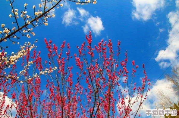 探秘:语冰角色背景与深度剧情脉络全面剖析 探秘:语冰角色背景与深度剧情脉络全面剖析