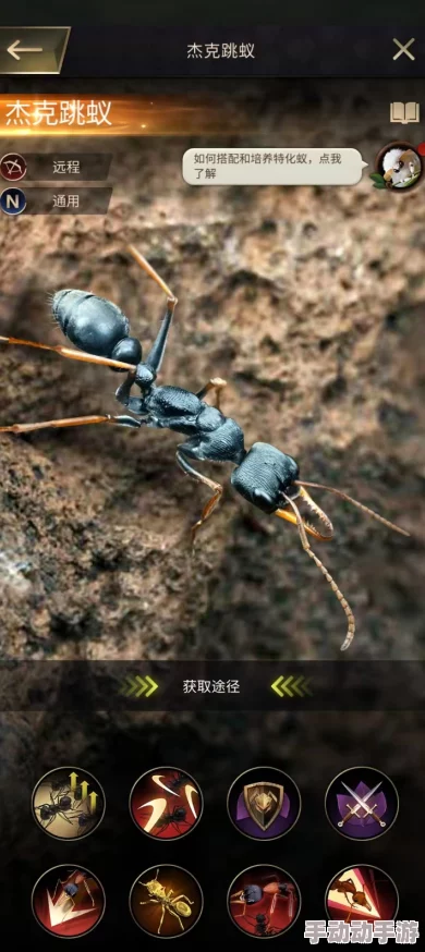 全面解析：小小蚁国蚂蚁进化之路——升星材料清单与达成条件