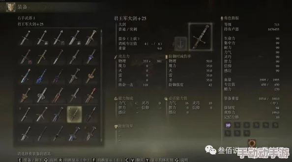 掌握艾尔登法环：剑士精准处决技巧，揭秘关键按键操作指南