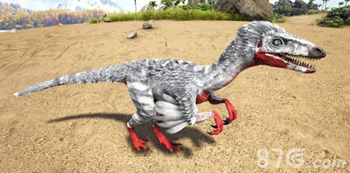 方舟生存进化手游:全面探索伤齿龙生态习性与驯养策略指南 方舟生存进化手游:全面探索伤齿龙生态习性与驯养策略指南