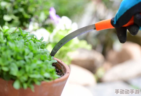 《地下城与勇士》100级镰刀精选:探索最适合你的战斗利器排行榜 《地下城与勇士》100级镰刀精选:探索最适合你的战斗利器排行榜