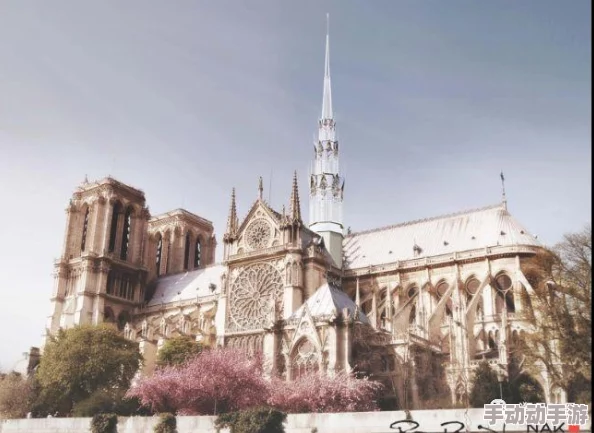 《地下城与勇士》中，哪些宠物胶囊能显著提升角色技能强度？精选指南！