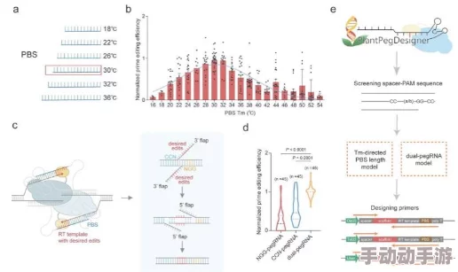 二战策略深度探讨:优化资源分配,强化民心向背以促人口增长之道 二战策略深度探讨:优化资源分配,强化民心向背以促人口增长之道