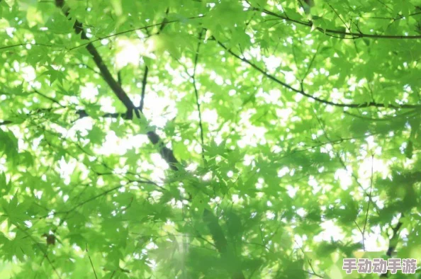 《七日世界》探索之旅:揭秘他曾踏足的隐秘任务完成全攻略 《七日世界》探索之旅:揭秘他曾踏足的隐秘任务完成全攻略